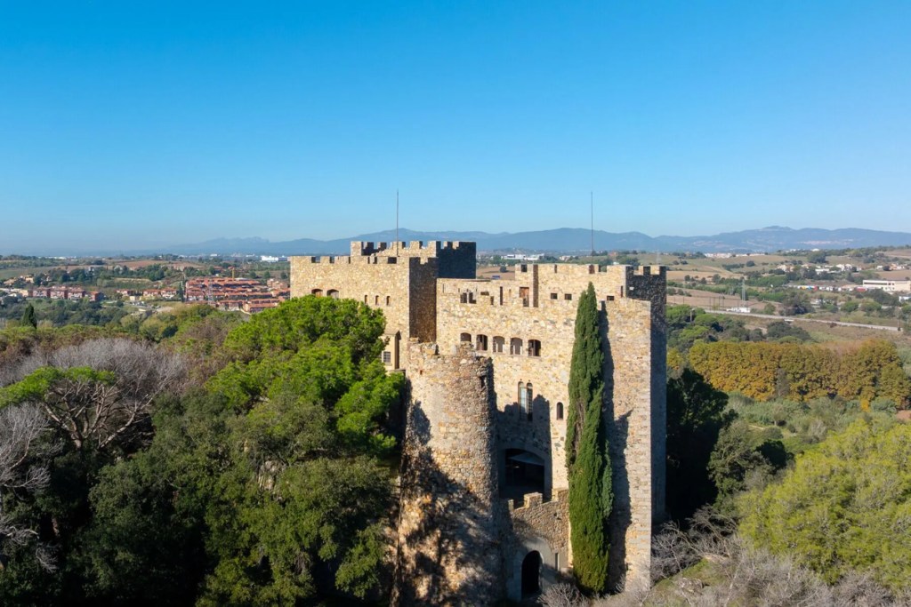 Historic stone castle with crenellated towers rising above wooded grounds, set against rolling countryside and distant mountains.